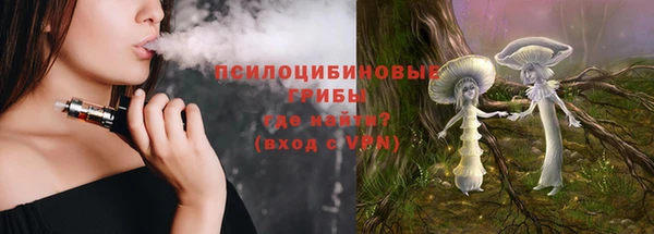 мдпв Иннополис