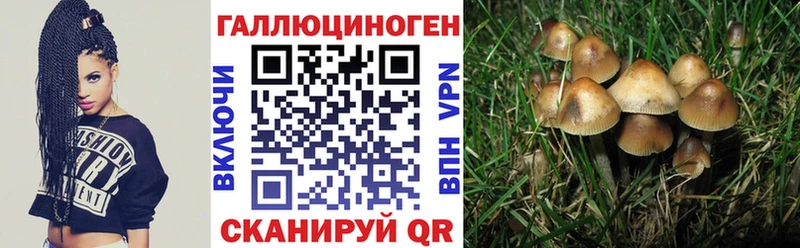 Купить закладки  Великий Устюг  Псилоцибиновые грибы Magic Shrooms 